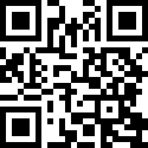 Google Play Store